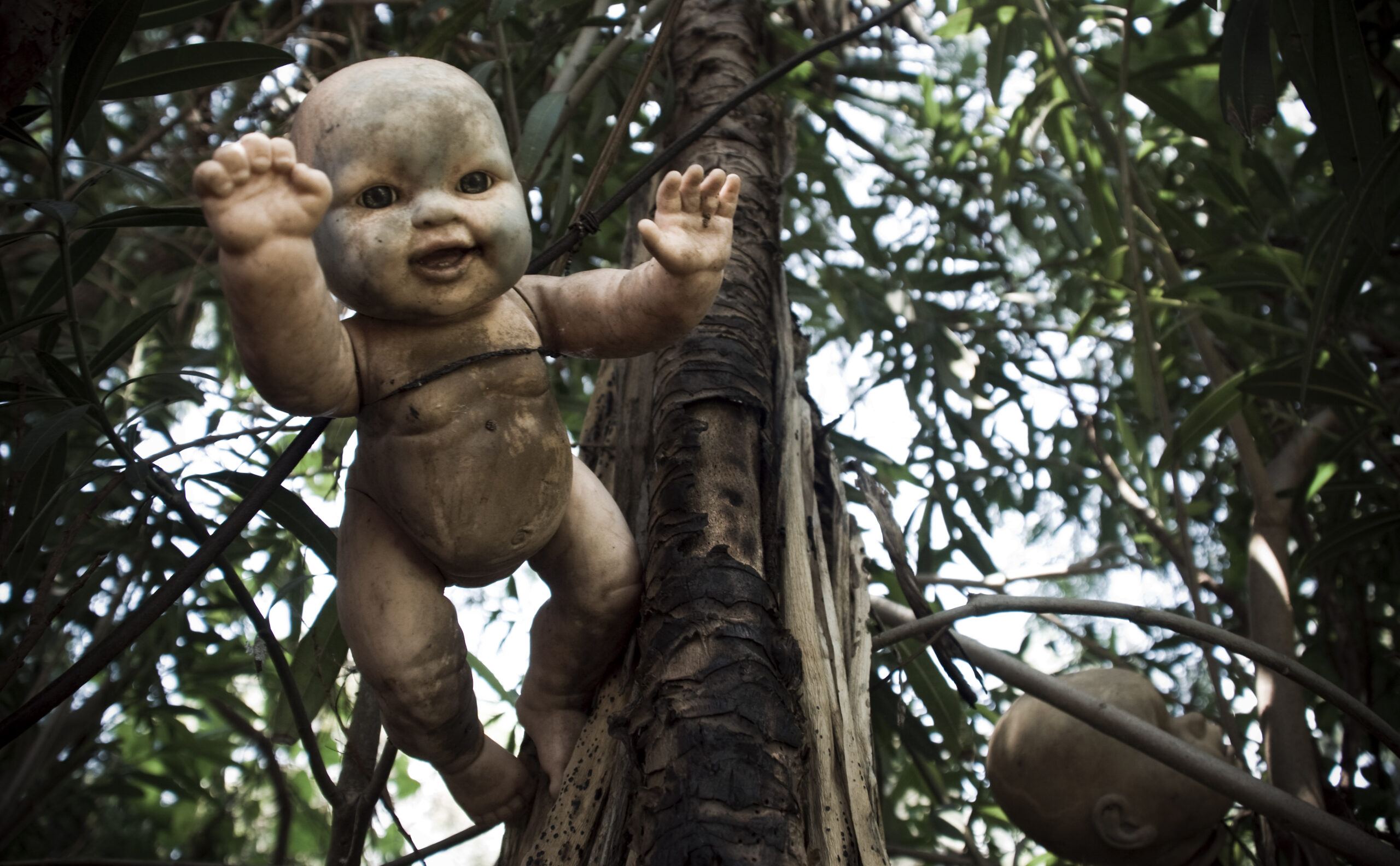 Insel der Puppen – Isla de las muñecas: Gruselige Puppeninsel in Mexiko